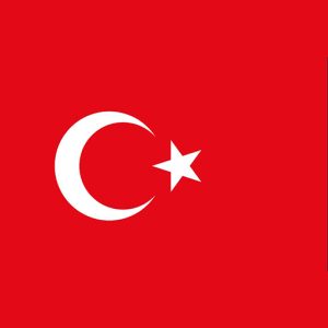 ریل ترک لی