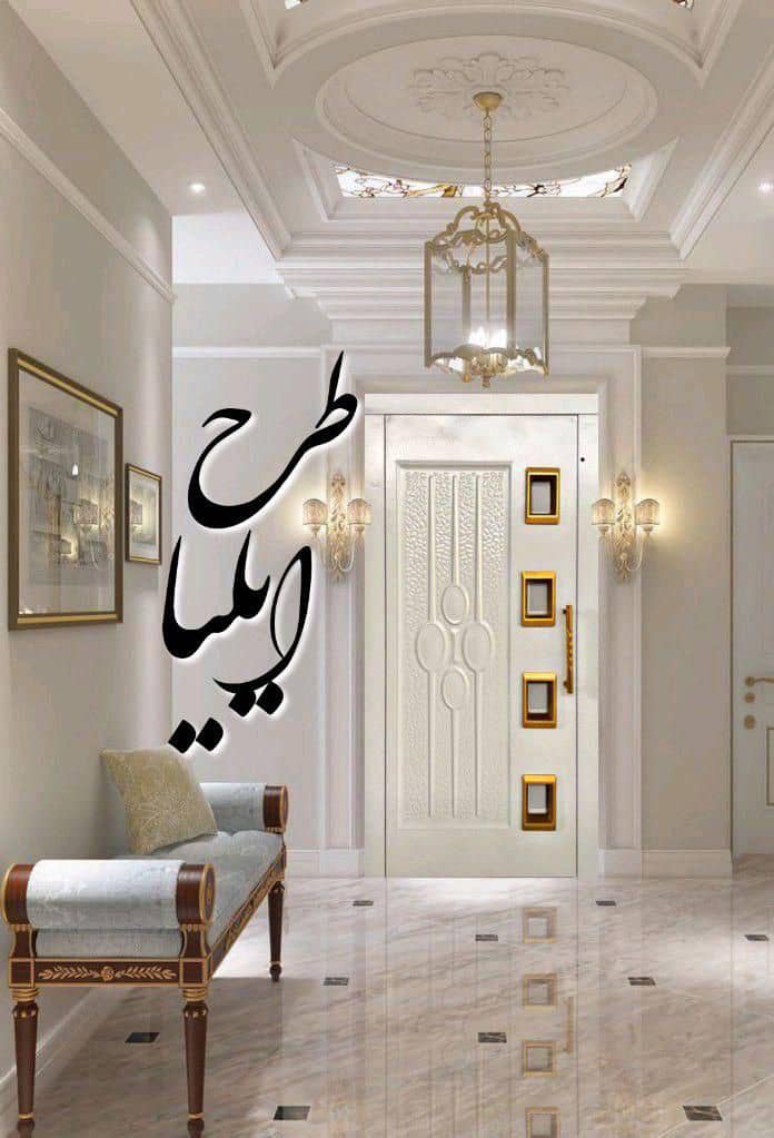 درب لولایی آسانسور ایلیا