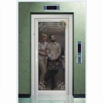 درب لولایی شیشه ای آسانسور - طرح گل - کد 102