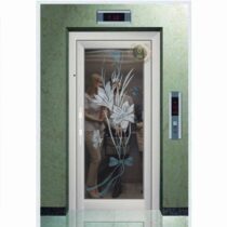 درب لولایی شیشه ای آسانسور - طرح گل - کد 101